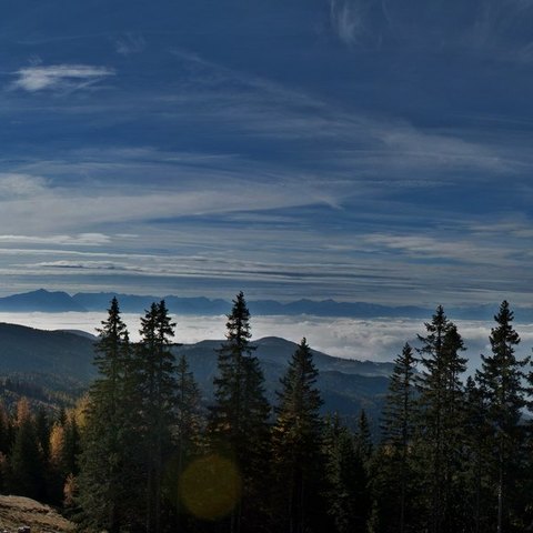 Panorama Saualm