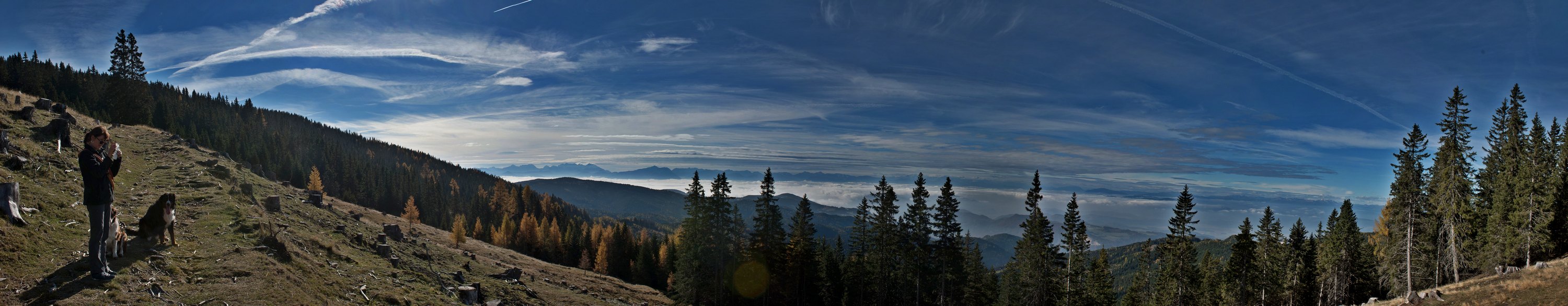 Panorama Saualm
