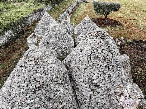 Trulli mit Olivenbaum
