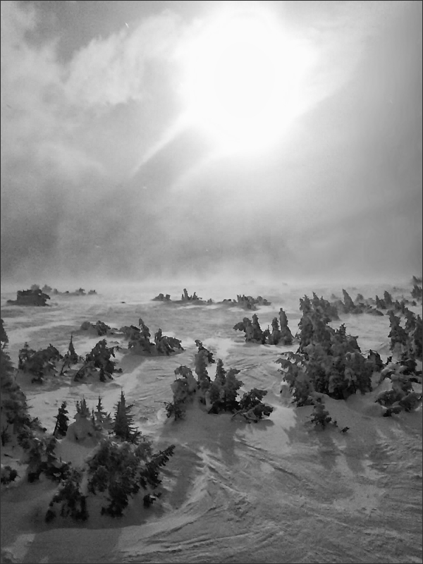 :stalingrad 43: