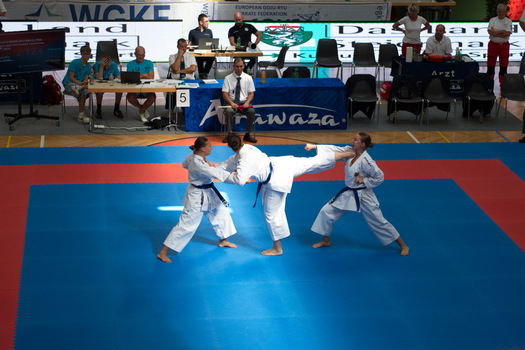 Karate WM 10 Vertrauen