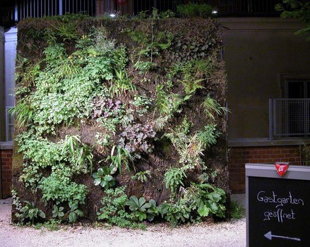 SenkrechterGarten