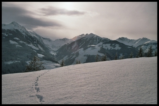 SCHNEE