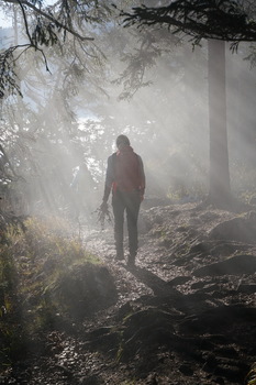 Weg ins Licht