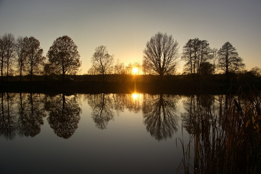 Abendstimmung am Teich