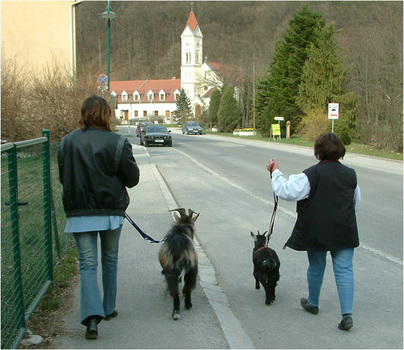 Rückansichten