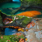 Mostnica Klamm