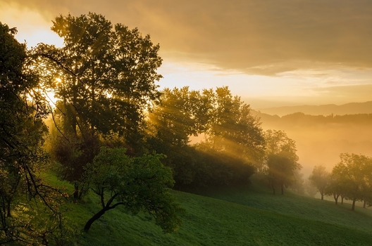 Sonnenstrahlen