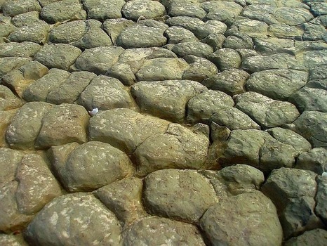MOTHER EARTH V