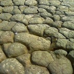 MOTHER EARTH V