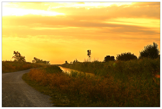 Herbstmorgen