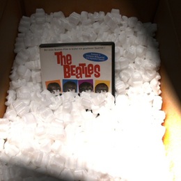 The Beatles