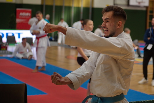 Karate WM 6