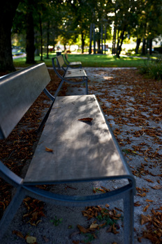 herbst  im  park