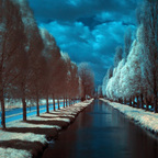 Am Kanal