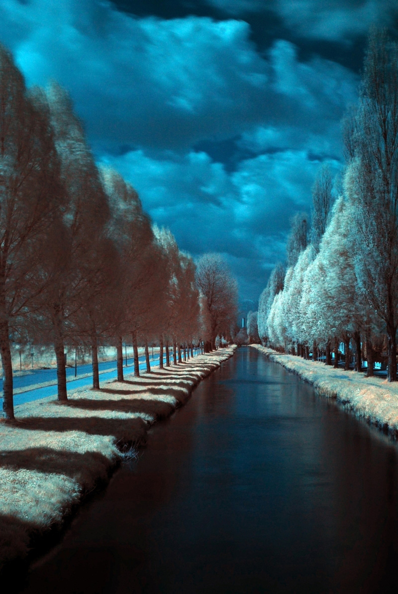 Am Kanal