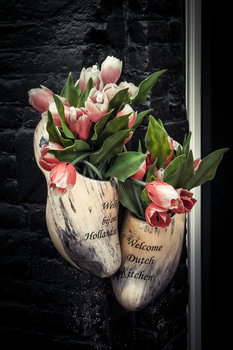 Traditionelles in Amsterdam