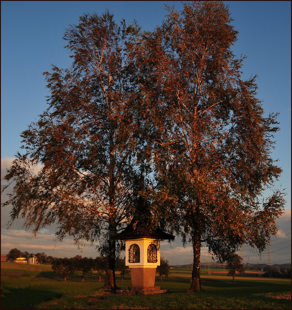 Bildstock