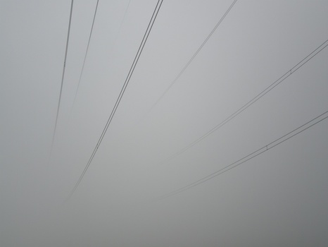 Lost in the Fog