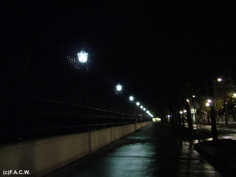 Wien bei Nacht (2)