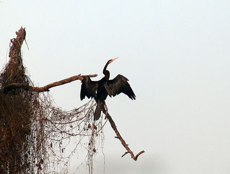 Morgenstimmung im Naturschutzgebiet