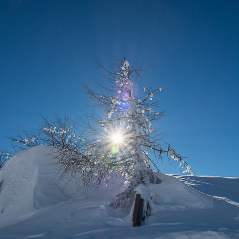 Wintersonne