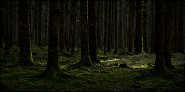 licht...