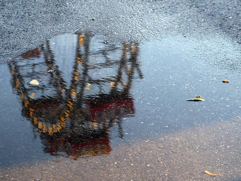 Herbst in Wien, 30.8.