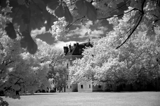 Schloss Laxenburg