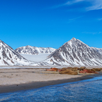 Gravneset