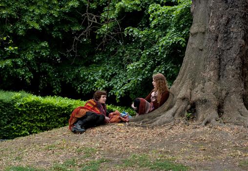 Stephen's green Park Dublin