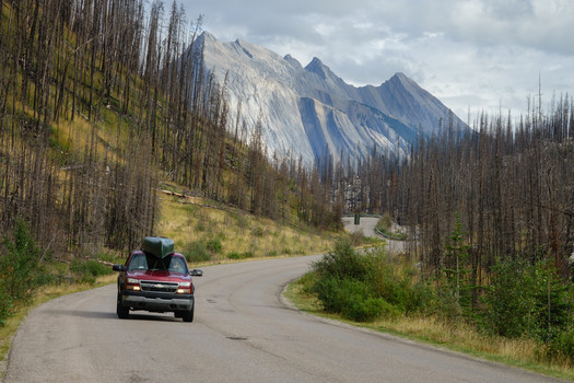 Maligne Road