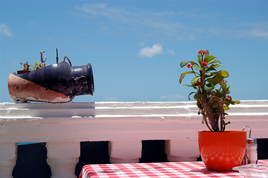 Canarian Dream