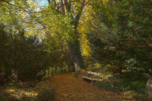 Herbstzeit...