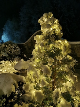 Frohe Weihnachten wünsche ich euch, LG. Johann