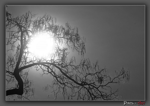 In die Sonne....