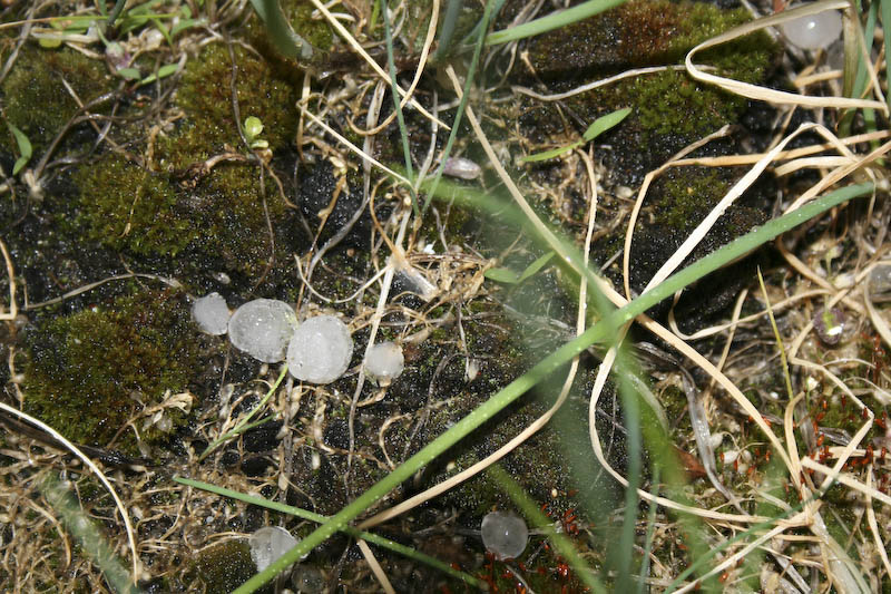 Hagel am Wienerberg