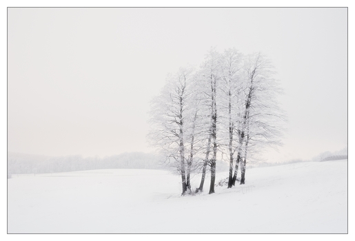 Bonjour Tristesse (Tulbinger Kogel II)