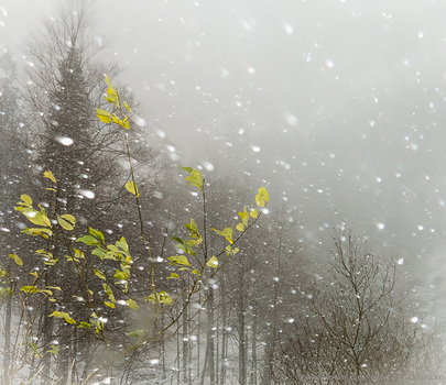 wenn der Winter den Herbst überholt ...