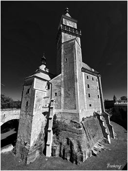Schloss Wallsee (Bezirk Amstetten)