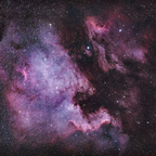 NGC 7000 - Nordamerika Nebel