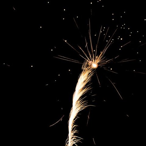 Silvester o9