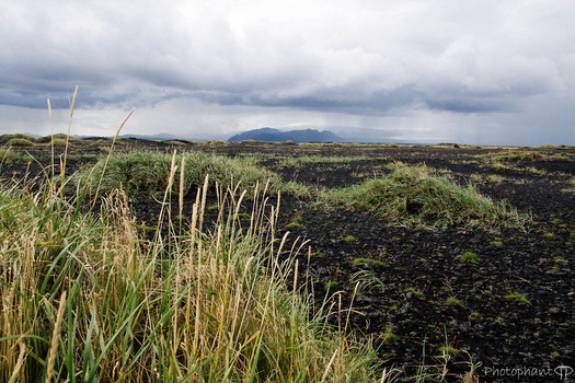 Island VI