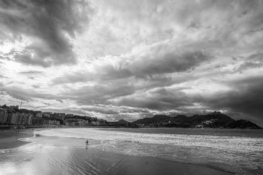 The Surfer...