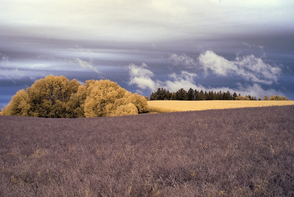 IR Fotografie