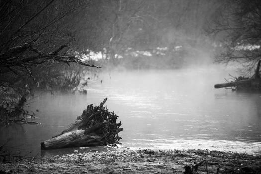 Novemberstimmung Ende Dezember