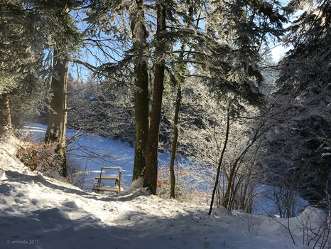 Vormittag im Januar