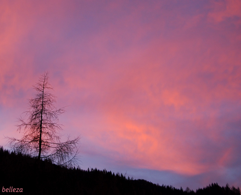 abenddämmerung3