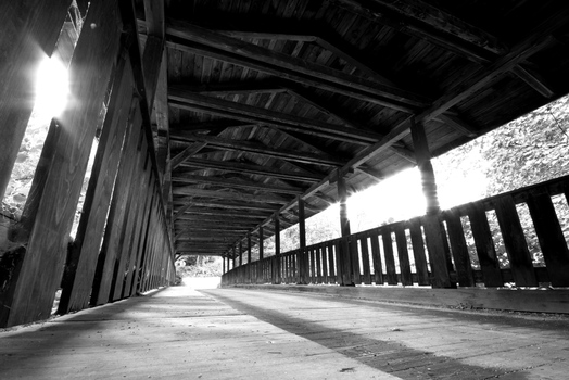 the bridge II