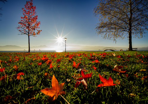 Herbst, Attersee